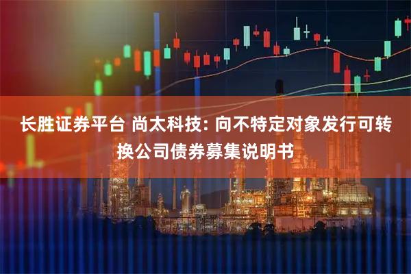 长胜证券平台 尚太科技: 向不特定对象发行可转换公司债券募集说明书